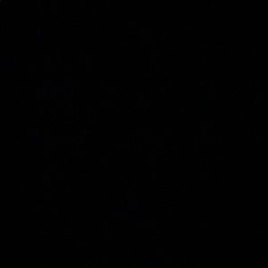 Meet your Posher, Bryan